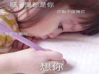 东明县茂岩鲜花店