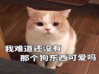 东明县茂岩鲜花店