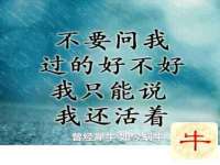 东明县茂岩鲜花店