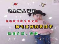 东明县茂岩鲜花店
