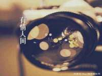 东明县茂岩鲜花店