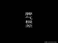 东明县茂岩鲜花店