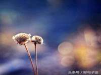 东明县茂岩鲜花店