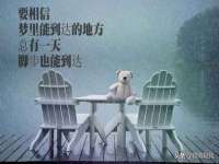 东明县茂岩鲜花店