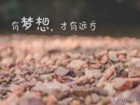 东明县茂岩鲜花店