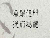 东明县茂岩鲜花店