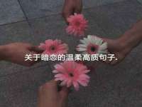 东明县茂岩鲜花店