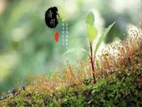 东明县茂岩鲜花店