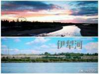 东明县茂岩鲜花店