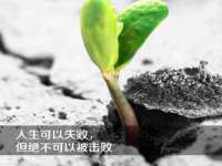 东明县茂岩鲜花店