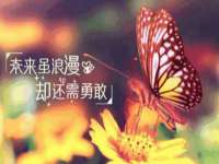 东明县茂岩鲜花店