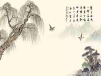 东明县茂岩鲜花店