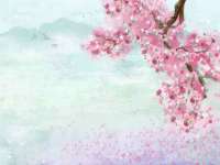 东明县茂岩鲜花店
