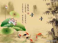 东明县茂岩鲜花店