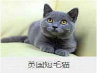东明县茂岩鲜花店