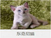 东明县茂岩鲜花店