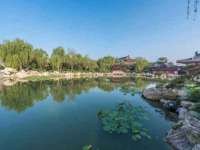 东明县茂岩鲜花店