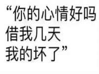 东明县茂岩鲜花店