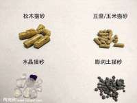 东明县茂岩鲜花店