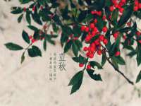 东明县茂岩鲜花店
