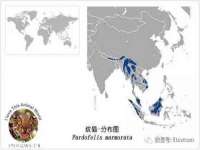 东明县茂岩鲜花店