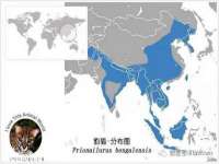 东明县茂岩鲜花店