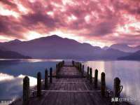 东明县茂岩鲜花店