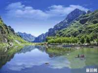 东明县茂岩鲜花店