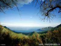 东明县茂岩鲜花店