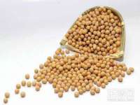 东明县茂岩鲜花店