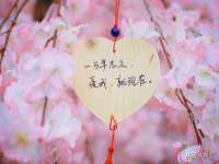 东明县茂岩鲜花店
