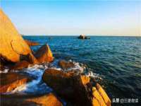 东明县茂岩鲜花店