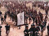东明县茂岩鲜花店