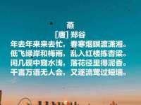 东明县茂岩鲜花店