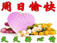 东明县茂岩鲜花店