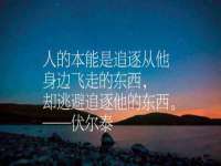 东明县茂岩鲜花店