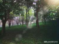 东明县茂岩鲜花店
