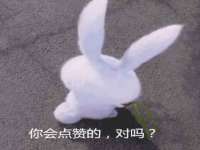 东明县茂岩鲜花店