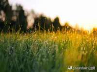 东明县茂岩鲜花店