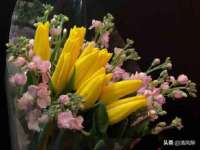 东明县茂岩鲜花店