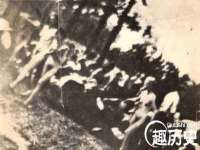 东明县茂岩鲜花店