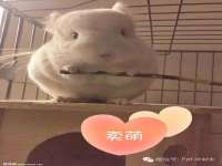 东明县茂岩鲜花店