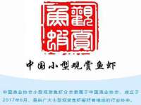 东明县茂岩鲜花店