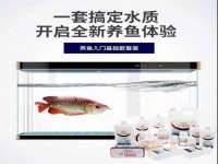 东明县茂岩鲜花店