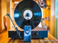 东明县茂岩鲜花店