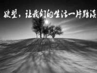 东明县茂岩鲜花店
