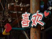 东明县茂岩鲜花店