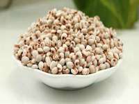 东明县茂岩鲜花店