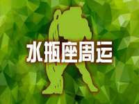 东明县茂岩鲜花店