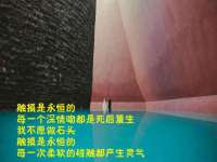 东明县茂岩鲜花店